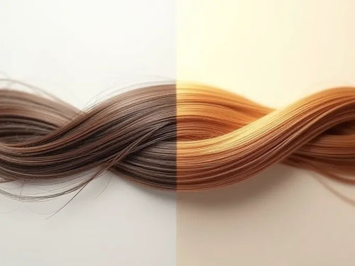 Último Blog da Empresa Sobre Novo Creme para Cabelos Tem como Alvo o Reparo de Cabelos Secos e Danados