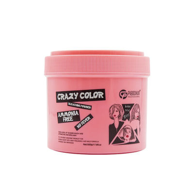 Good price Convenient Professional Permanent Hair Color Powder 500G Ammonia Free Salon Use online